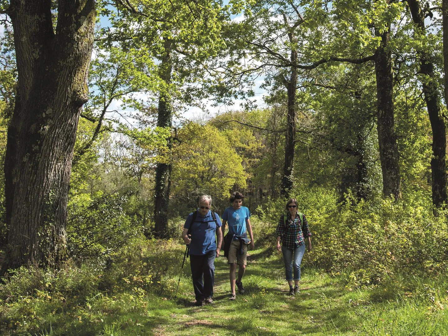 Serres-Morlaàs forêt de Lahitau Serres-Morlaàs Nouvelle-Aquitaine