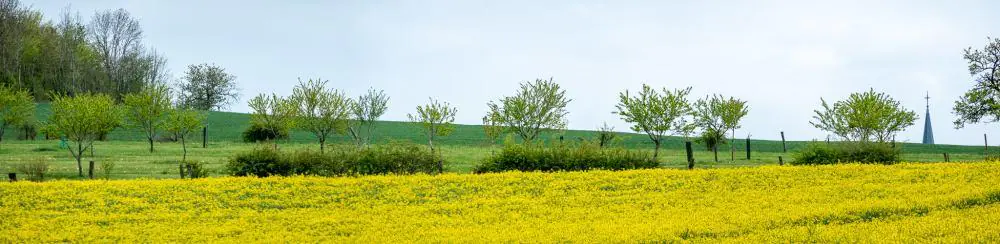 SENTIERS À LA CROISÉE DES CHEMINS CIRCUIT N° 22 SENTIER DE SAURUPT Harol Grand Est