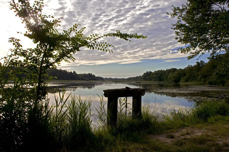 Balade à pied n°61 Le ruisseau de l'Ozance Saint-Michel-en-Brenne Centre-Val de Loire