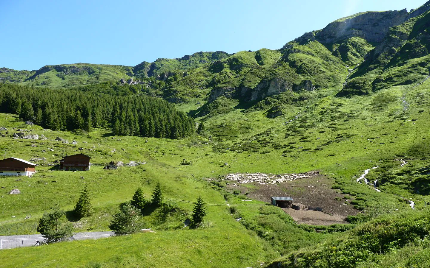 La balade de la bergerie Eaux-Bonnes Nouvelle-Aquitaine