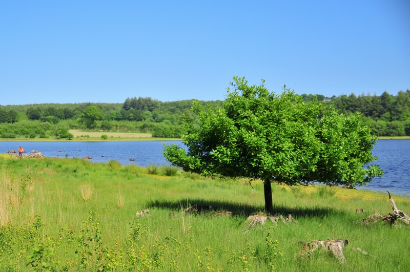 Autour de l'Ermitage Noues de Sienne Normandie