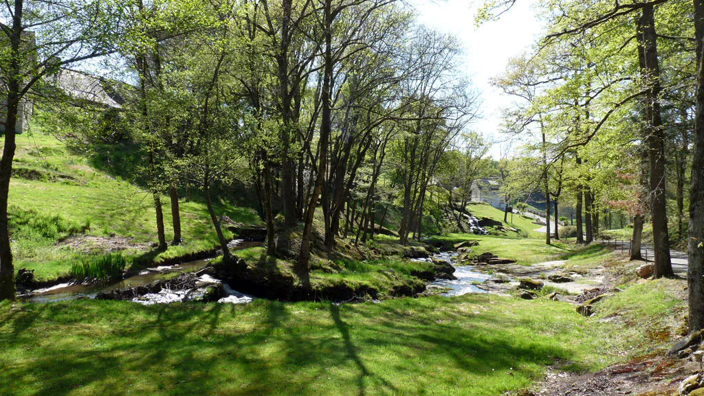 Le pays vert Chanteixois du Puy Maurians aux Zignalets Chanteix Nouvelle-Aquitaine