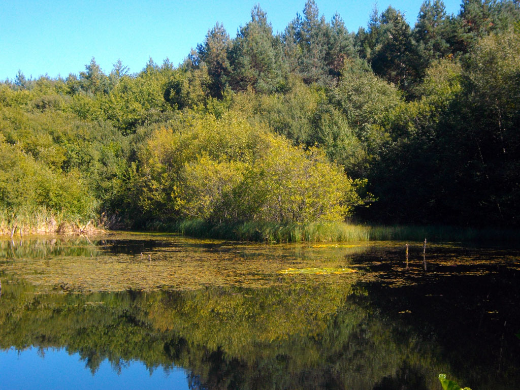 A la découverte de la forêt Neuvic Nouvelle-Aquitaine