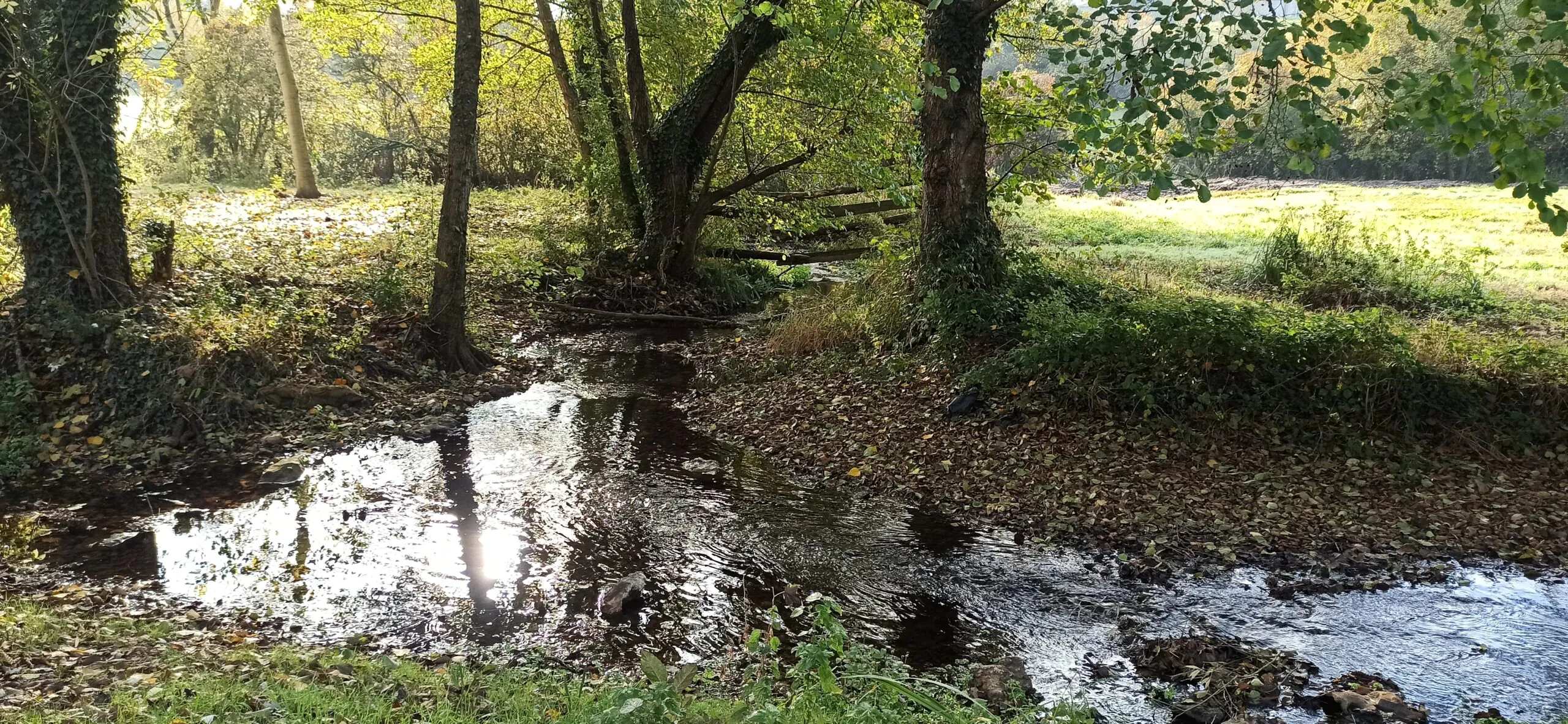 Sur la Route de l'Eau Chalandray Nouvelle-Aquitaine