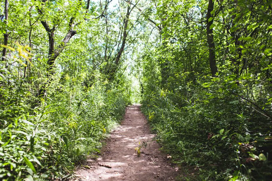 Trail de l'Arboretum Chamberet Nouvelle-Aquitaine