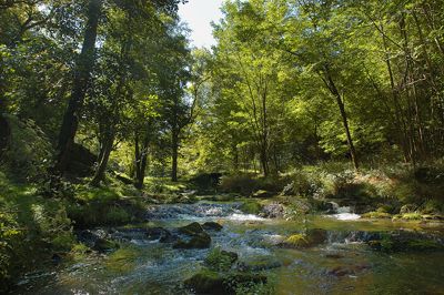 Circuit du château de Lavauguyon Maisonnais-sur-Tardoire Nouvelle-Aquitaine