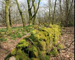 Circuit 'Las Pradas' Cognac-la-Forêt Nouvelle-Aquitaine