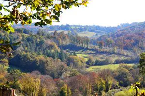 Sentier de l'étang des landes Saint-Paul Nouvelle-Aquitaine