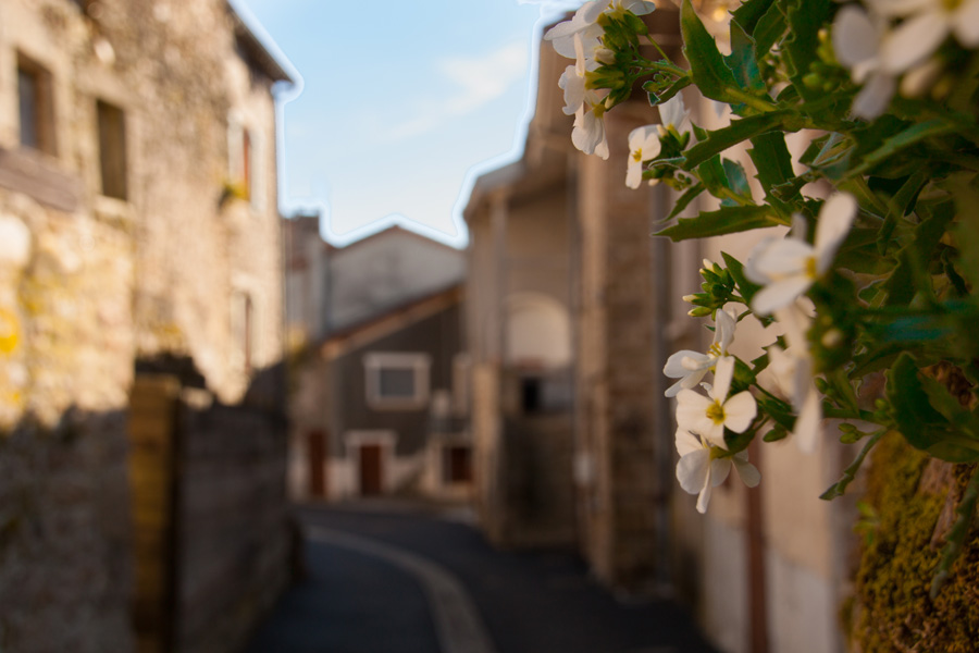 Le sentier du Petit Monteil et de Lavalette Châteauponsac Nouvelle-Aquitaine