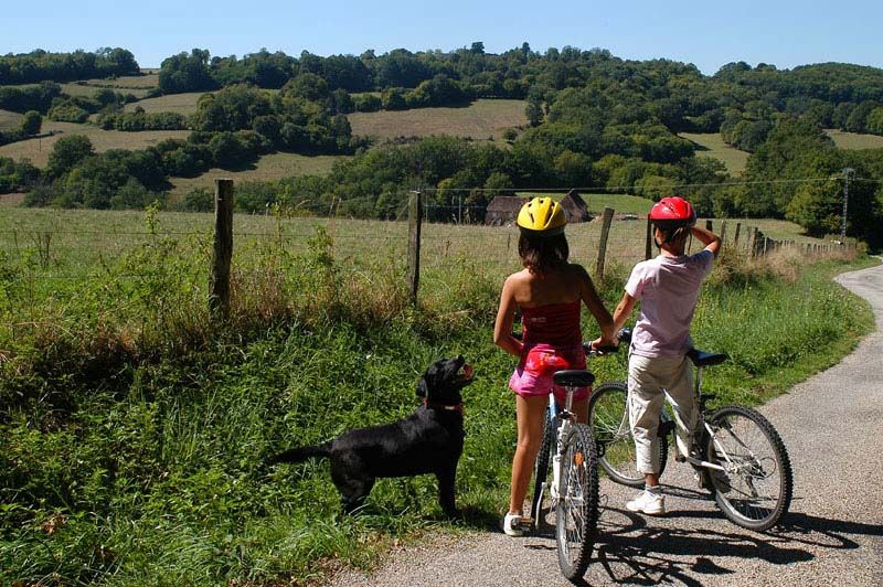 Randonnée des vieux chênes Azat-le-Ris Nouvelle-Aquitaine