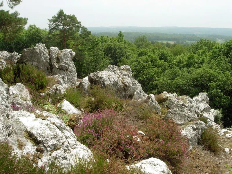 Circuit de la lande de Frochet Val d'Issoire Nouvelle-Aquitaine