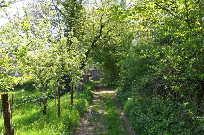 Sentier lacs et forêts Meuzac Nouvelle-Aquitaine