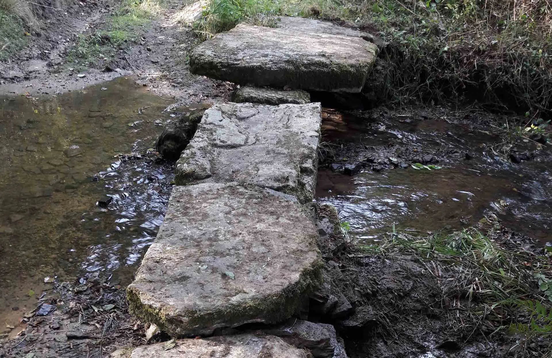 Sentier les biches Champagnac-la-Rivière Nouvelle-Aquitaine