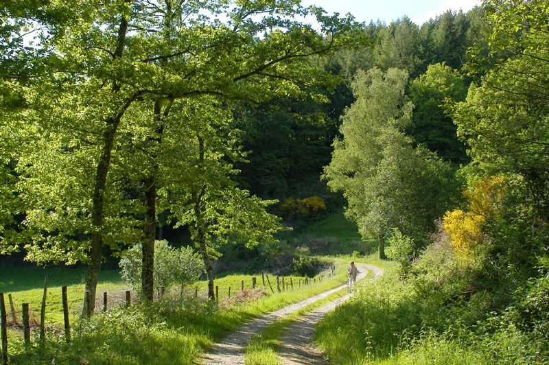 Sentier des étangs Saint-Gence Nouvelle-Aquitaine