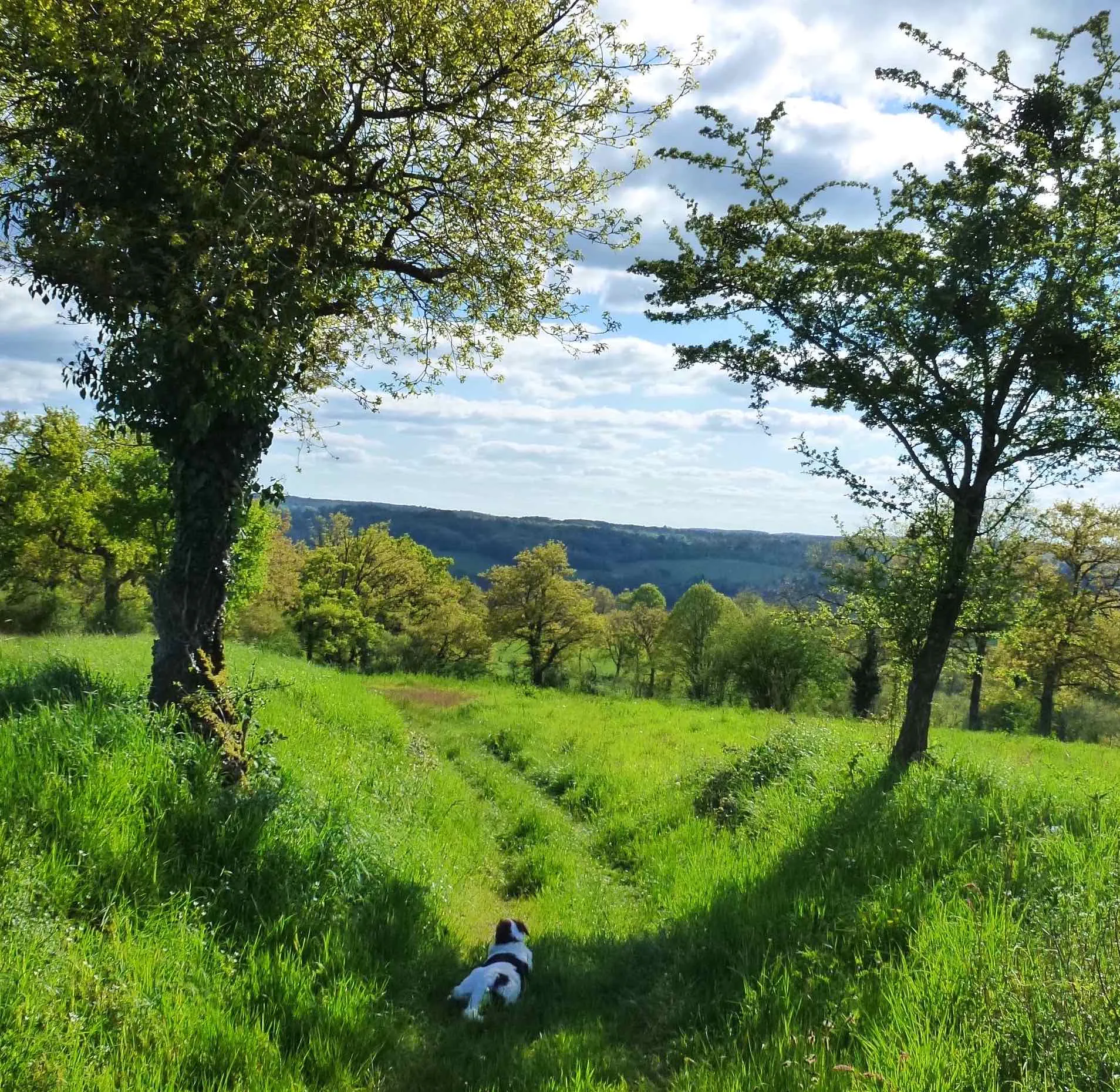 Balade de Victurnien Saint-Victurnien Nouvelle-Aquitaine