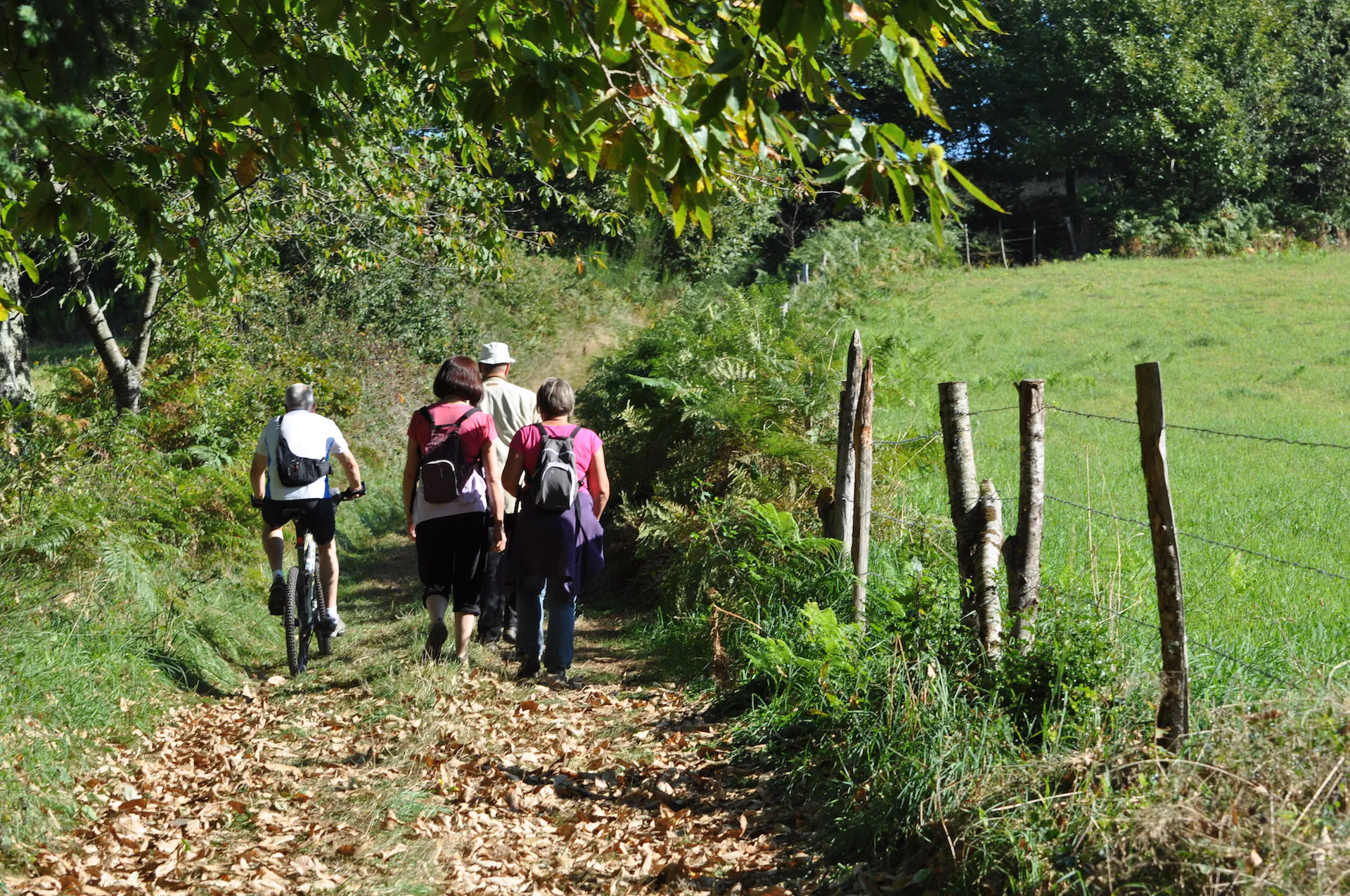 Circuit des Planches Bessines-sur-Gartempe Nouvelle-Aquitaine