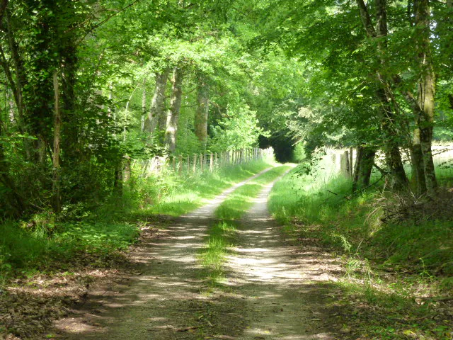 Le Martoulet Saint-Germain-les-Belles Nouvelle-Aquitaine