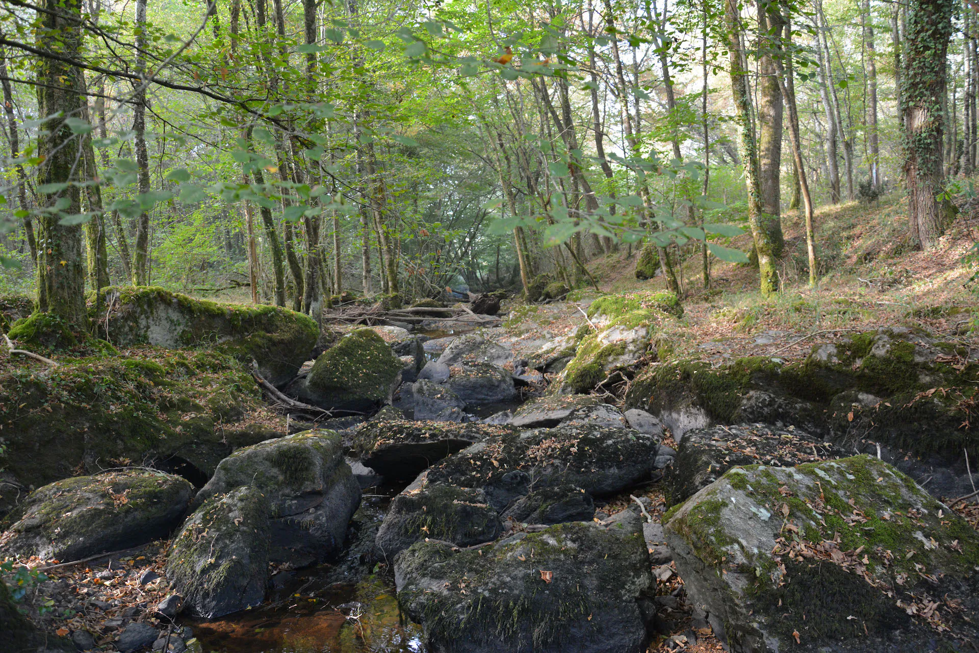 Rochers de l'Isop Saint-Martial-sur-Isop Nouvelle-Aquitaine