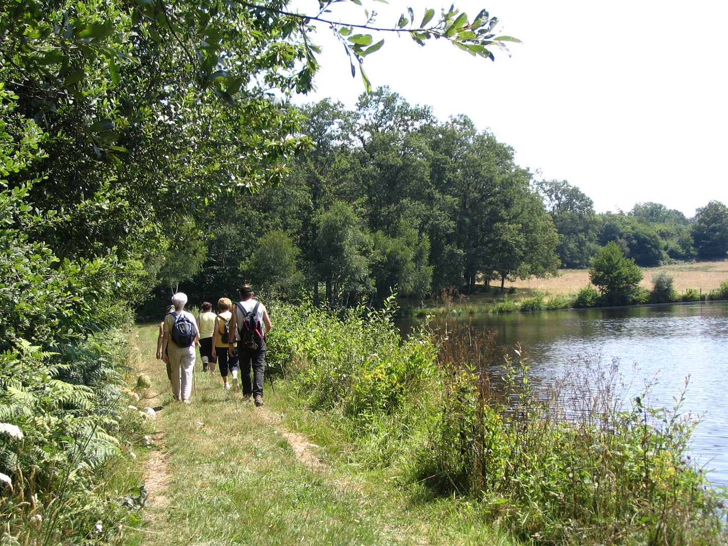 Variante sentier des templiers et des hospitaliers Pageas Nouvelle-Aquitaine