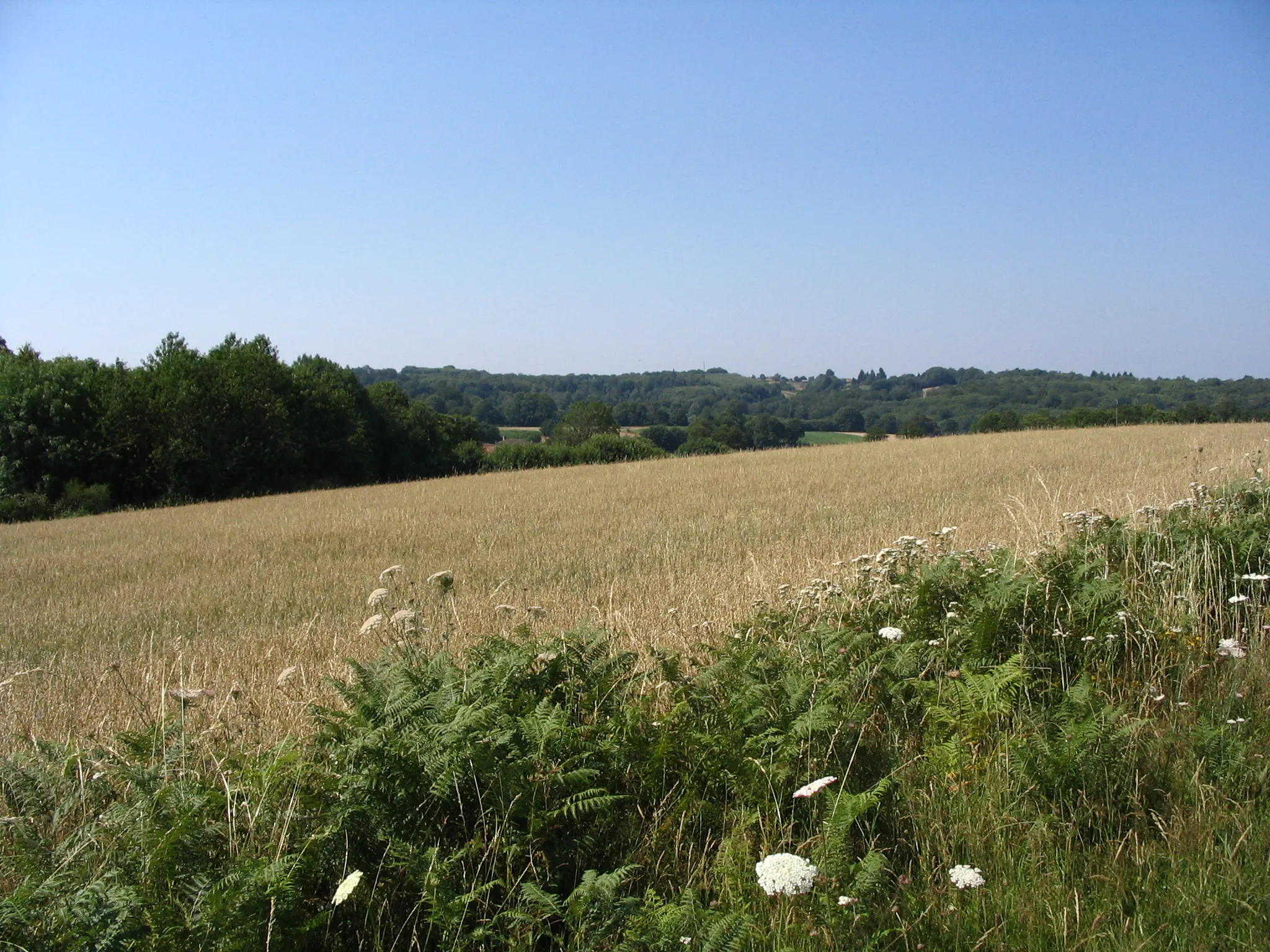 Variante 1 Sentier aux sources de la Gorre Pageas Nouvelle-Aquitaine