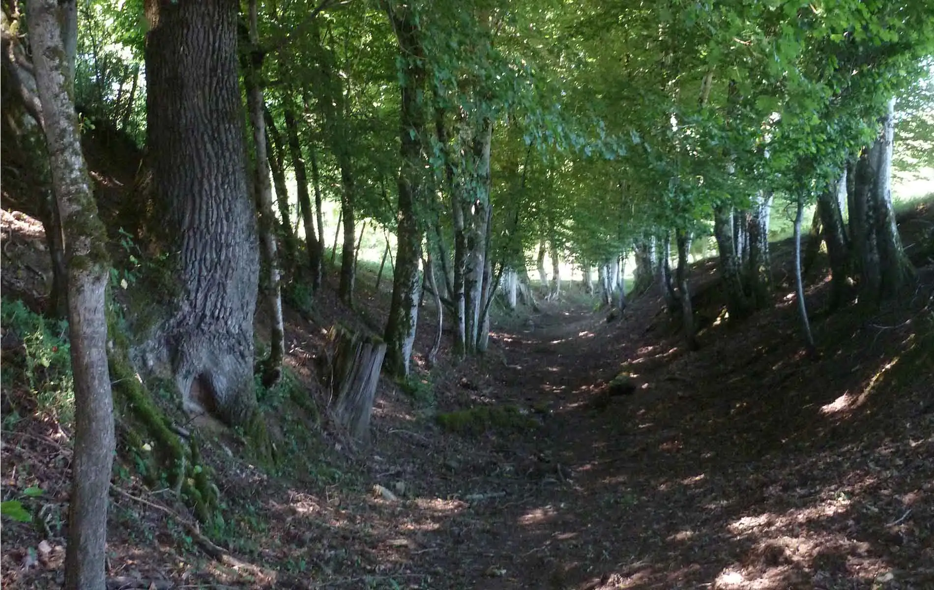 Variante par Lauzeraud sentier de Meilhac Meilhac Nouvelle-Aquitaine