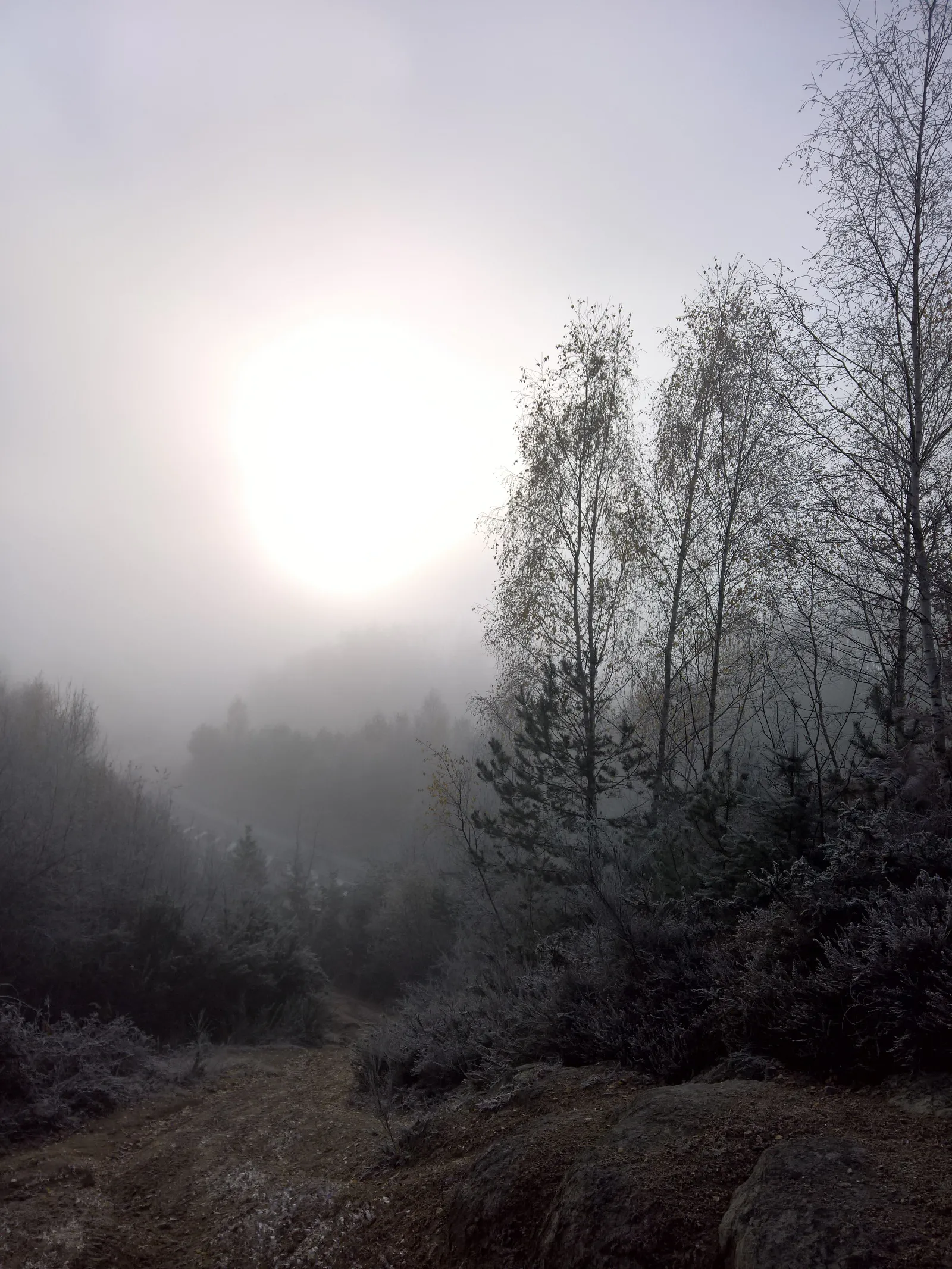 Base Uni'Vert Trail des Monts d'Ambazac Le sentier de l'ermite Ambazac Nouvelle-Aquitaine