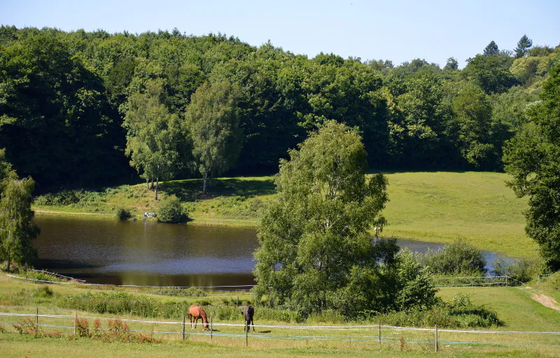 Base VTT FFC des Monts du Limousin Circuit 3 Puy du Fros Ambazac Nouvelle-Aquitaine