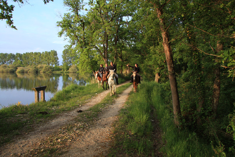 La Brenne à cheval Grand tour des étangs de la Brenne en 3 jours Mézières-en-Brenne Centre-Val de Loire