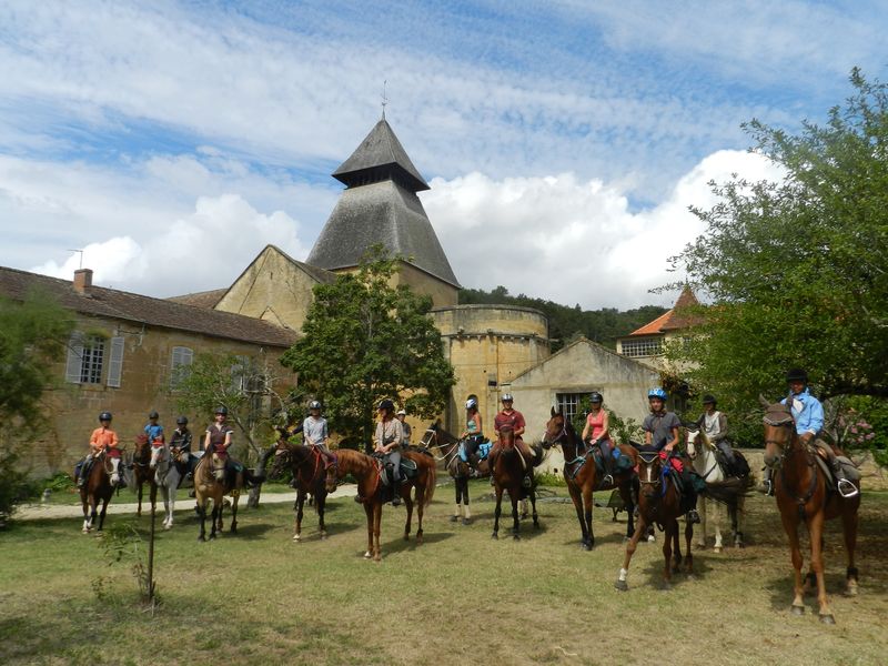 Coup de coeur du centre équestre du Pays Beaumontois Beaumontois en Périgord Nouvelle-Aquitaine