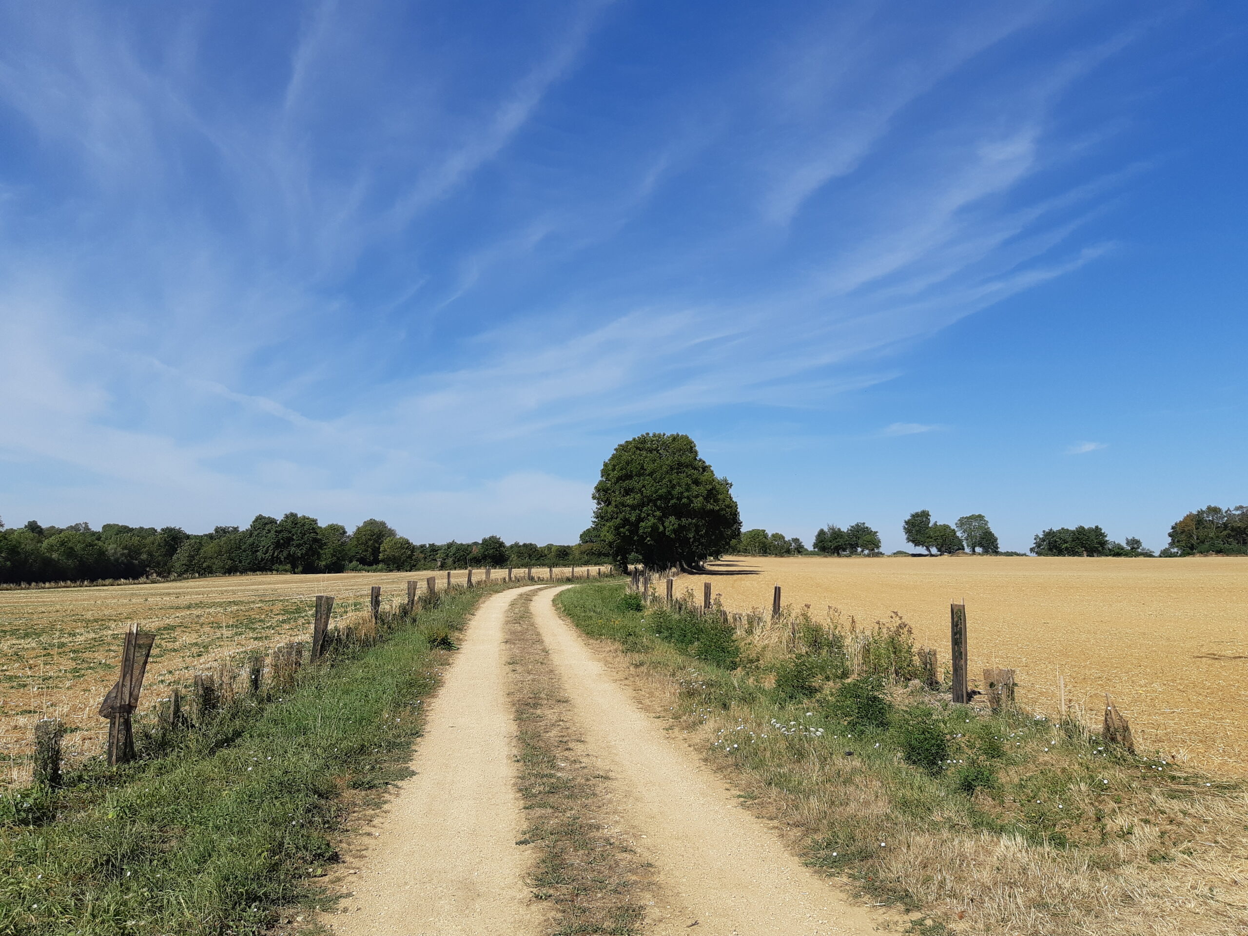 Lambon-Gros-Bois-Parking haut base de loisirs Prailles-La Couarde Nouvelle-Aquitaine