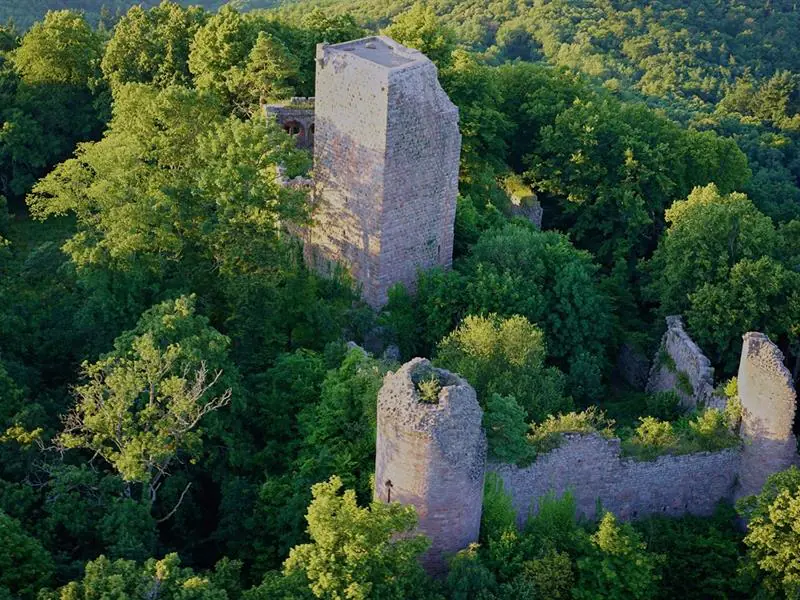 Randonnée vers le château du Landsberg Barr Grand Est