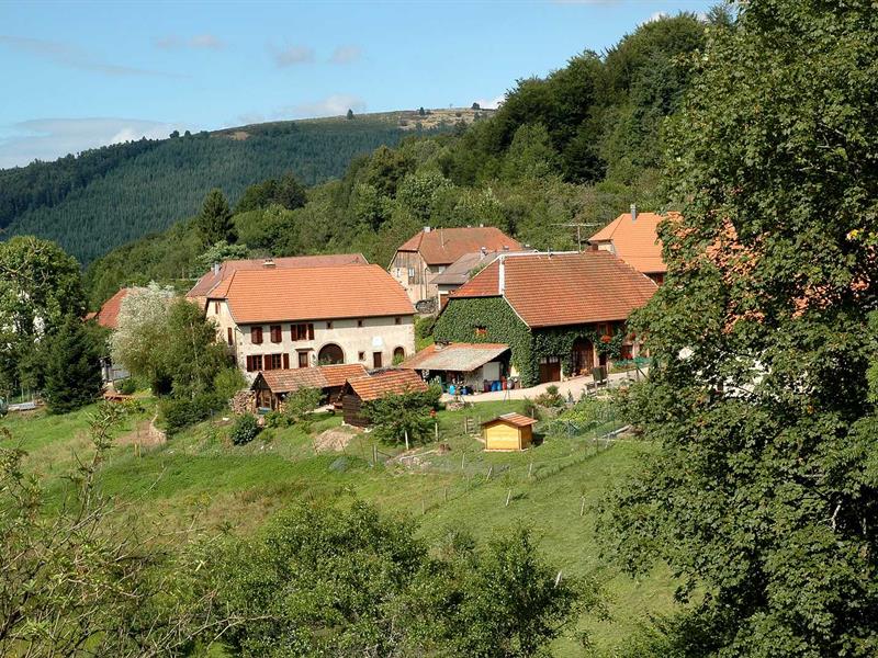 Circuit rando C01 Autour du plus petit village d'Alsace Blancherupt Grand Est