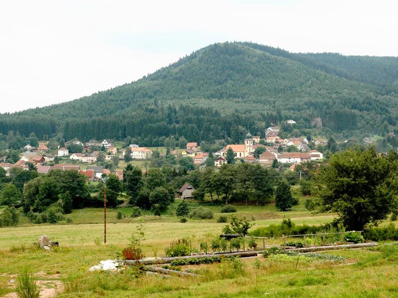 Circuit rando H08 Autour de Saulxures Saulxures Grand Est