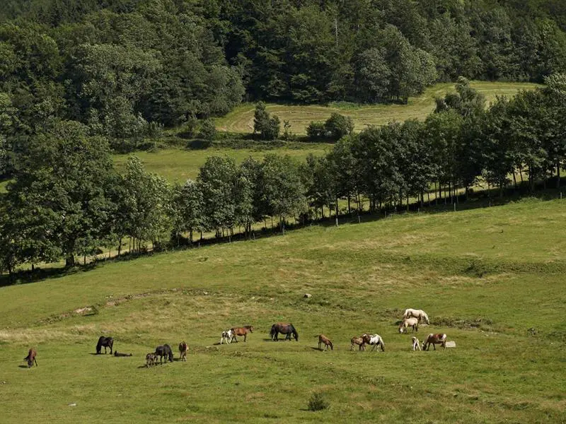 Circuit rando B10 Les balcons de la vallée de la Bruche Urmatt Grand Est