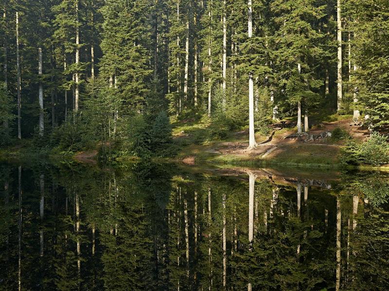 Circuit rando C23 Plaine et l'étang de la Falle Saint-Blaise-la-Roche Grand Est
