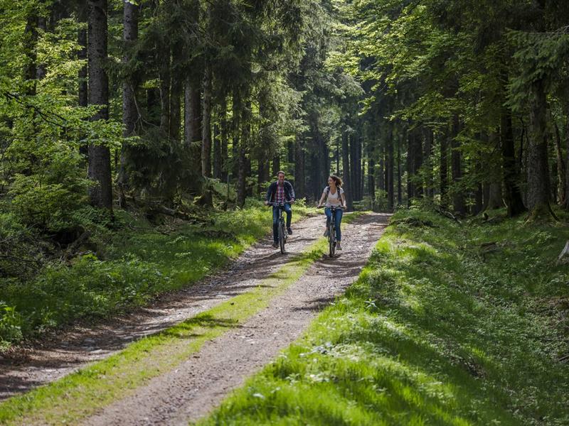 Circuit vélo C19 De Salm à Saulxures Schirmeck Grand Est