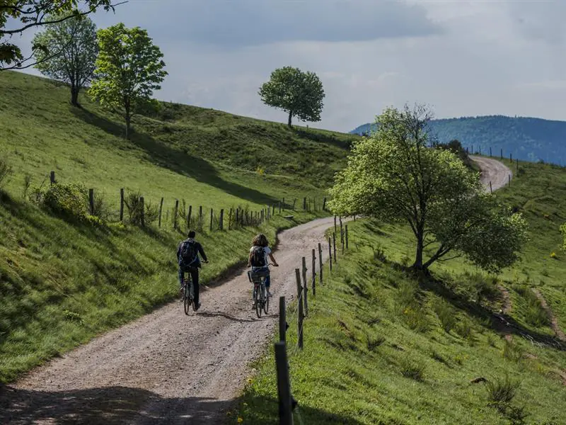 Circuit vélo C20 Entre principauté de Salm et comté du Ban de la Roche Schirmeck Grand Est