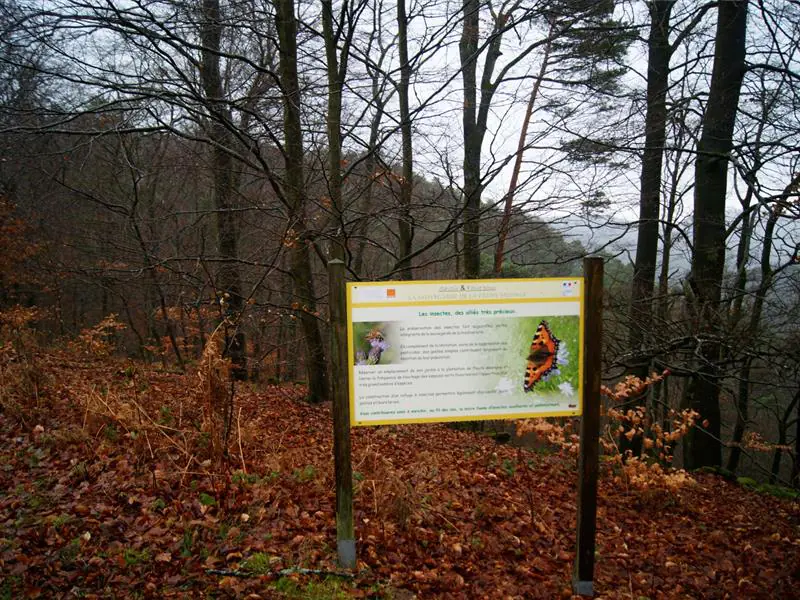 Sentier du GORNA La Petite-Pierre Grand Est