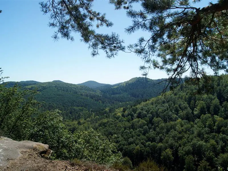 Sentier nature du Loosthal La Petite-Pierre Grand Est