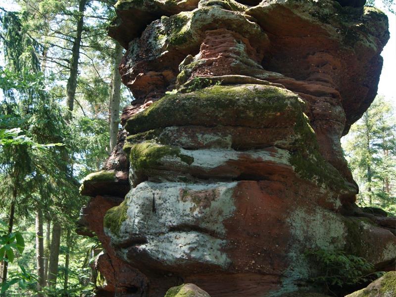 Circuit du Rocher de la Guérite Dossenheim-sur-Zinsel Grand Est