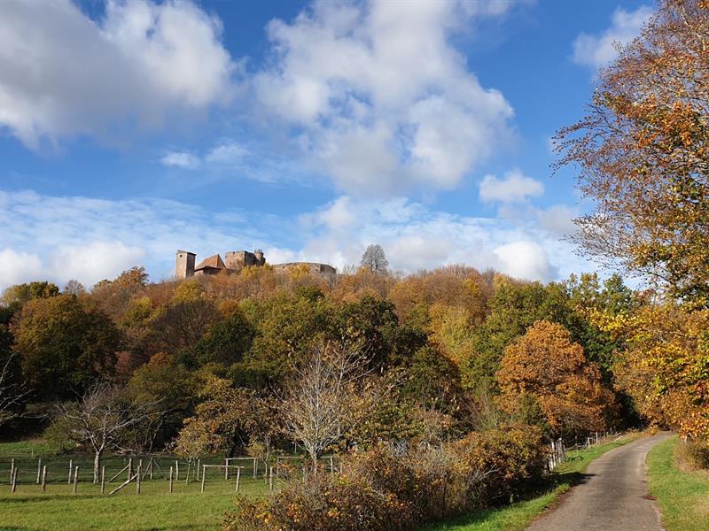 Sentier des châtaigniers Lichtenberg Grand Est