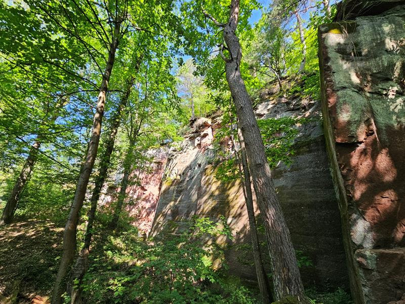 Circuit du Gauxberg variante anneau jaune Dossenheim-sur-Zinsel Grand Est