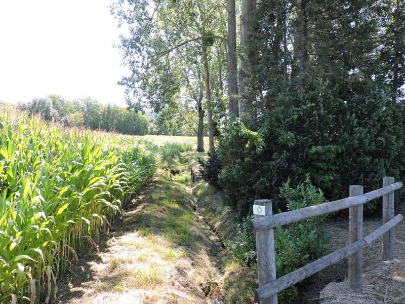 Randonnée Sentier des croix et oratoires parcours total Soultz-les-Bains Grand Est