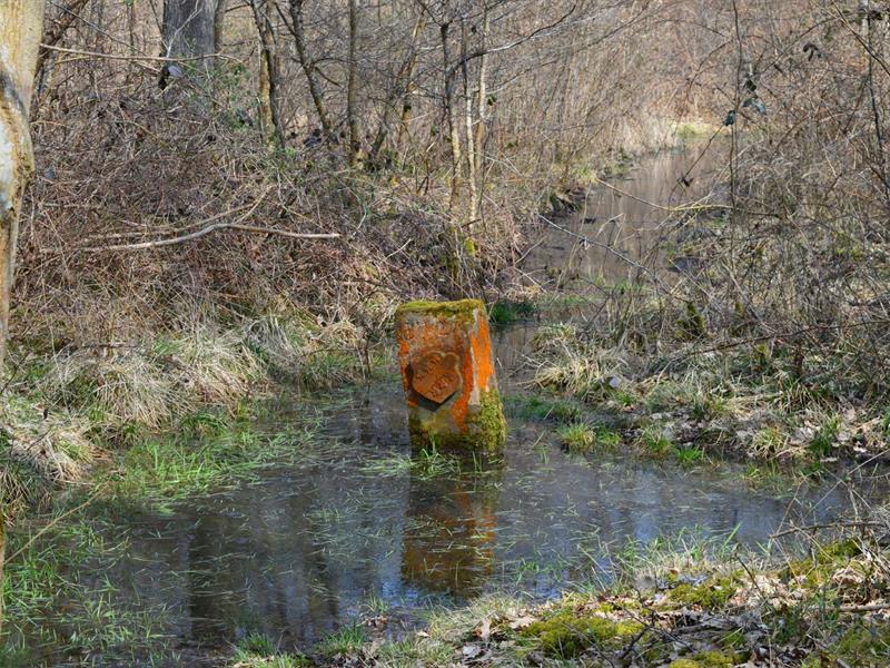 Randonnée Sentier des bornes armoriées Altorf Grand Est