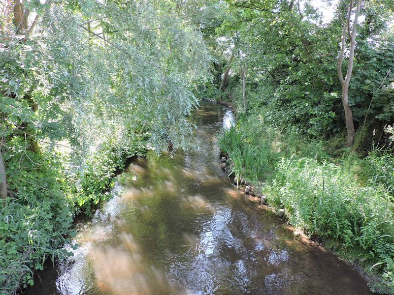 Promenade Hansi Duttlenheim Grand Est