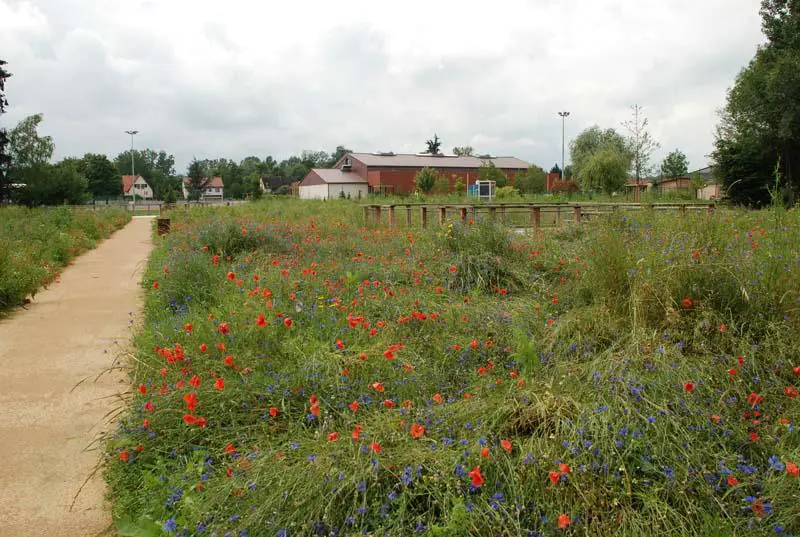 Randonnée Les terrasses de la Bruche Ernolsheim-Bruche Grand Est