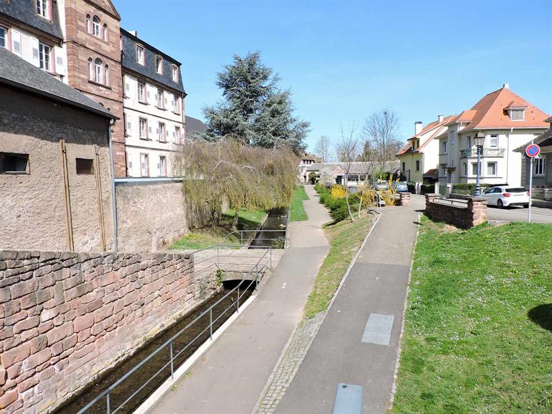 Circuit vélo Vers les Portes du Bonheur Molsheim Grand Est