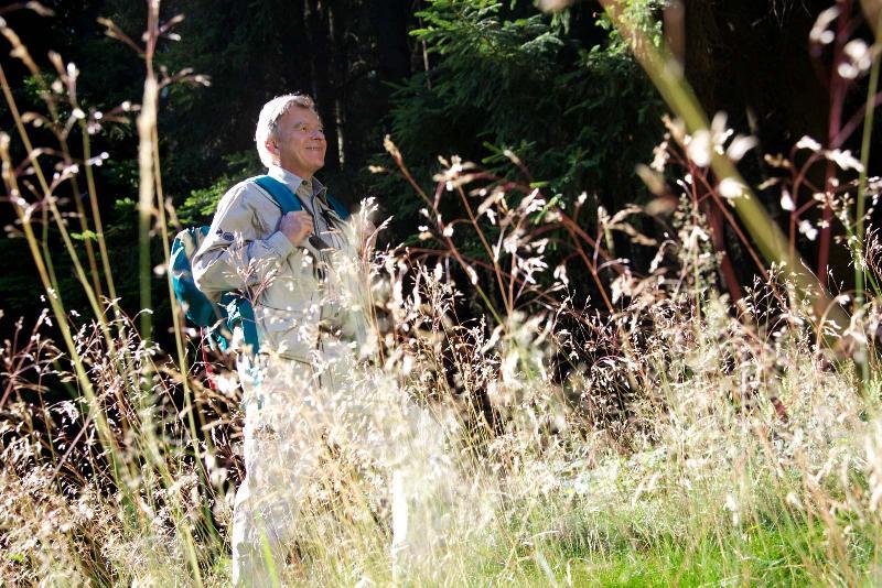 Grand tour pédestre de l’Immenkopf Oberbronn Grand Est Grand tour pédestre de l'Immenkopf Oberbronn Grand Est