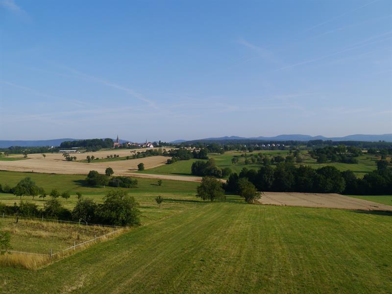 Route des vergers et du souvenir Wœrth Grand Est