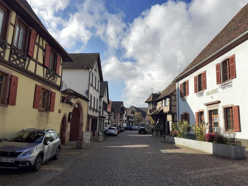 Circuit vélo de Sélestat au Col de Fouchy Sélestat Grand Est